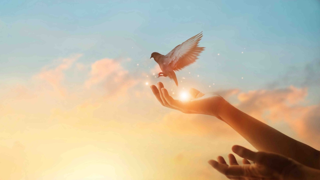 In a world plagued by conflicts, political turmoil, and international tensions, the importance of world peace is an idea that transcends boundaries and ideologies.